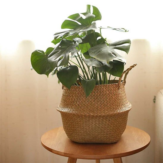 Cache pot en osier | Bohème Naturel