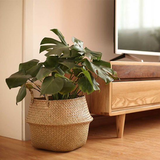 Cache pot en osier | Bohème Naturel